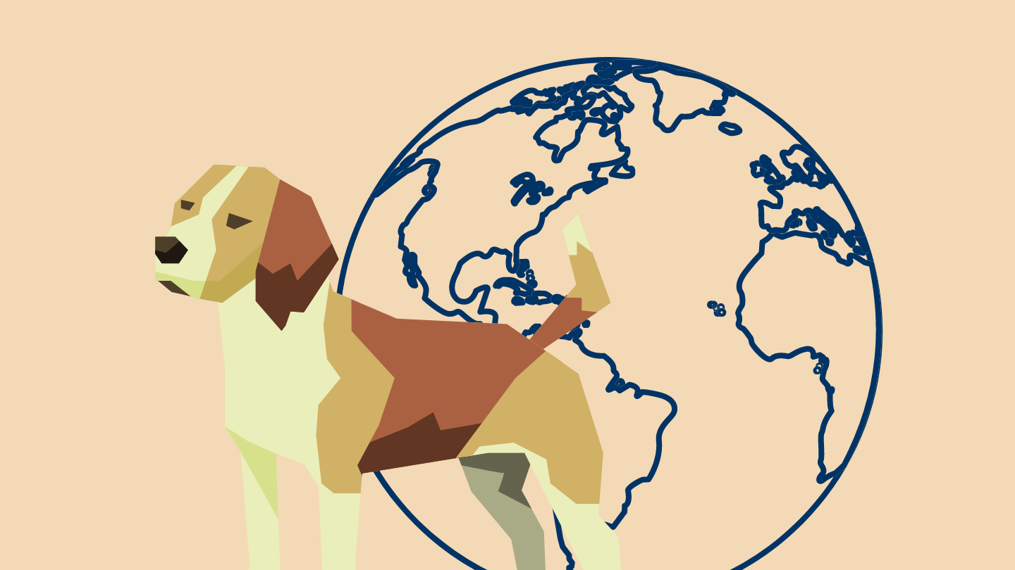 Graphic of a dog and a world icon