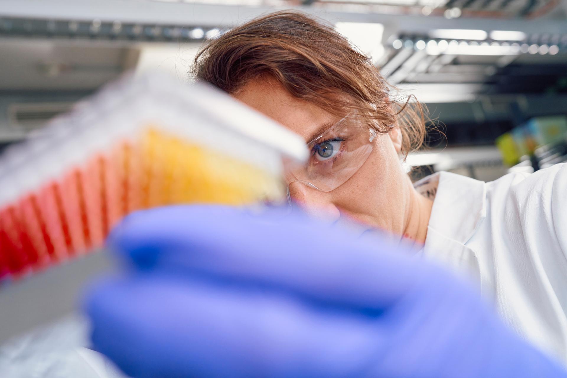 Scientist looking at test tubes