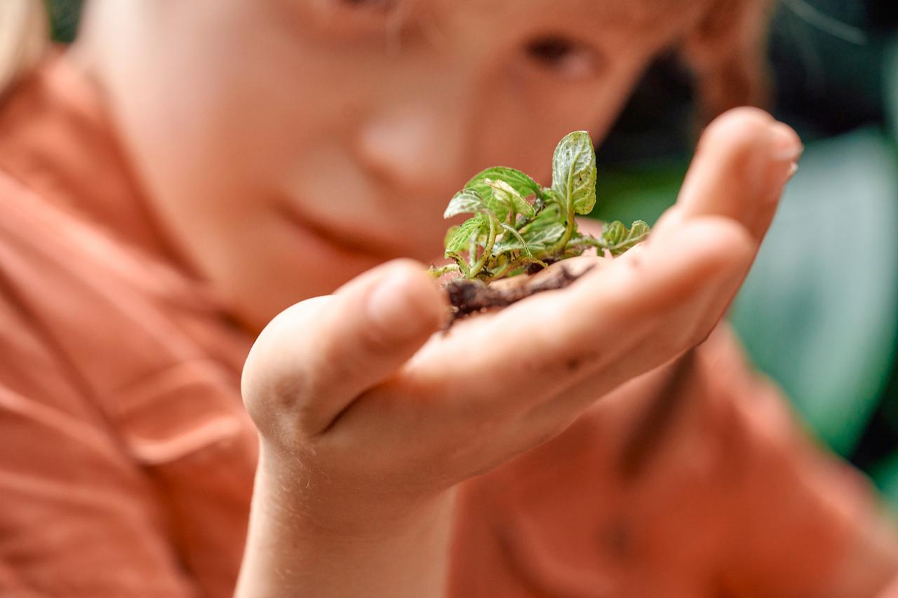 ChildreninBotanicalGarden