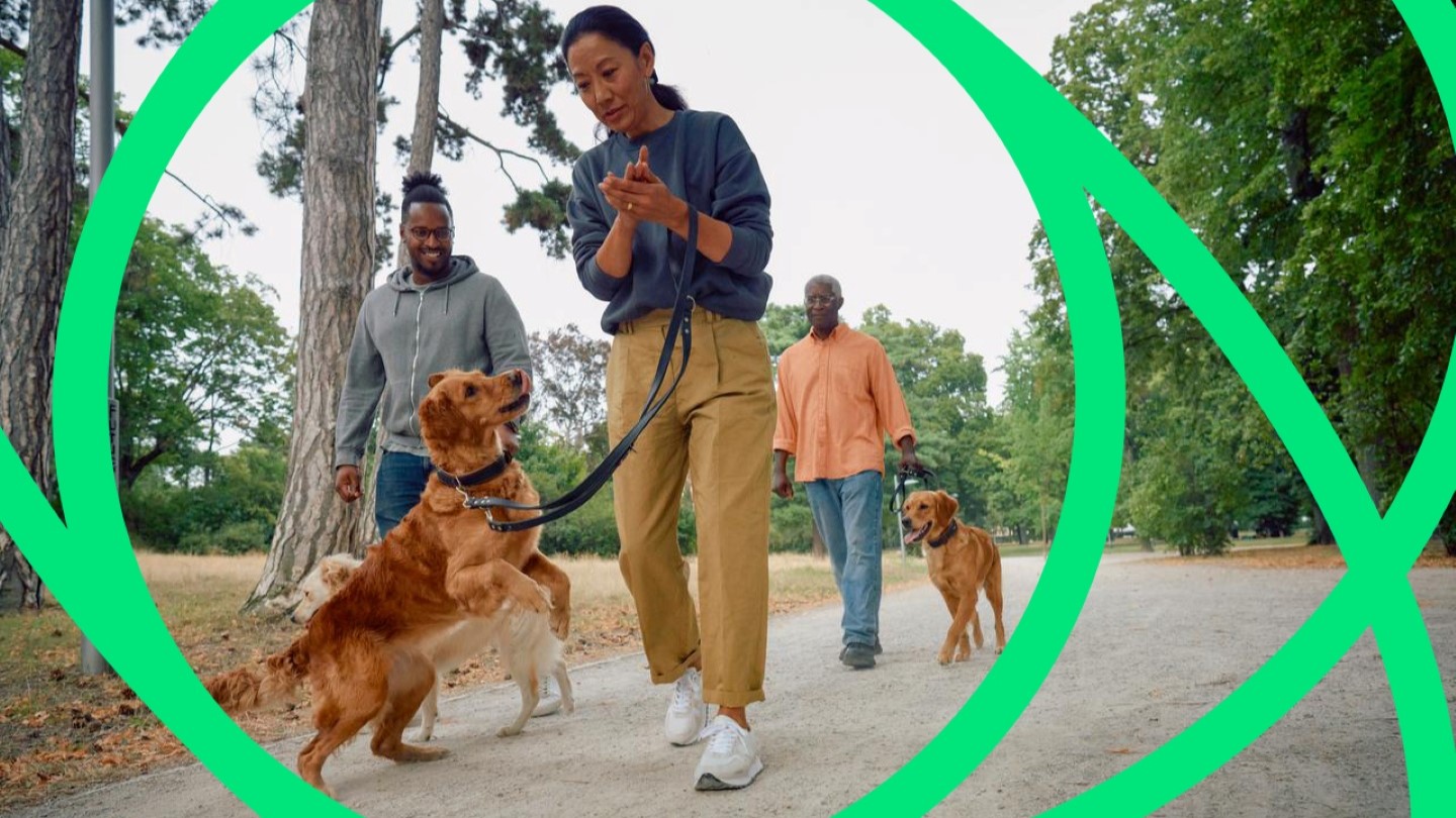 People walking the dog outside in the park