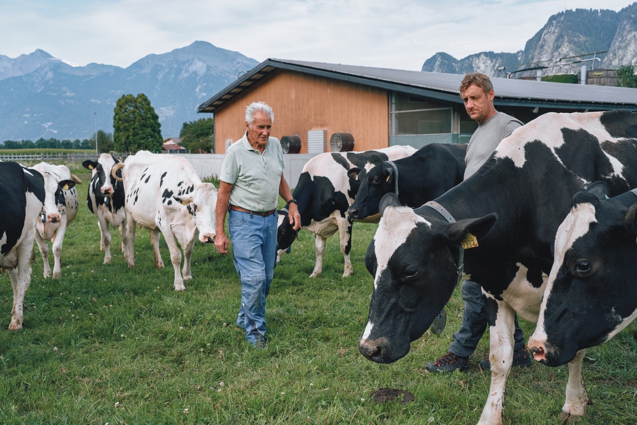 Working together in Animal Health