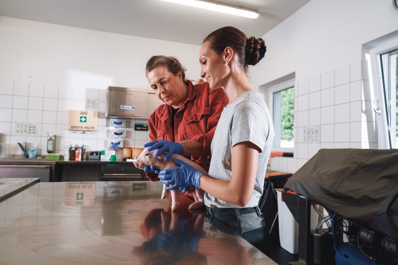 Working together in Animal Health