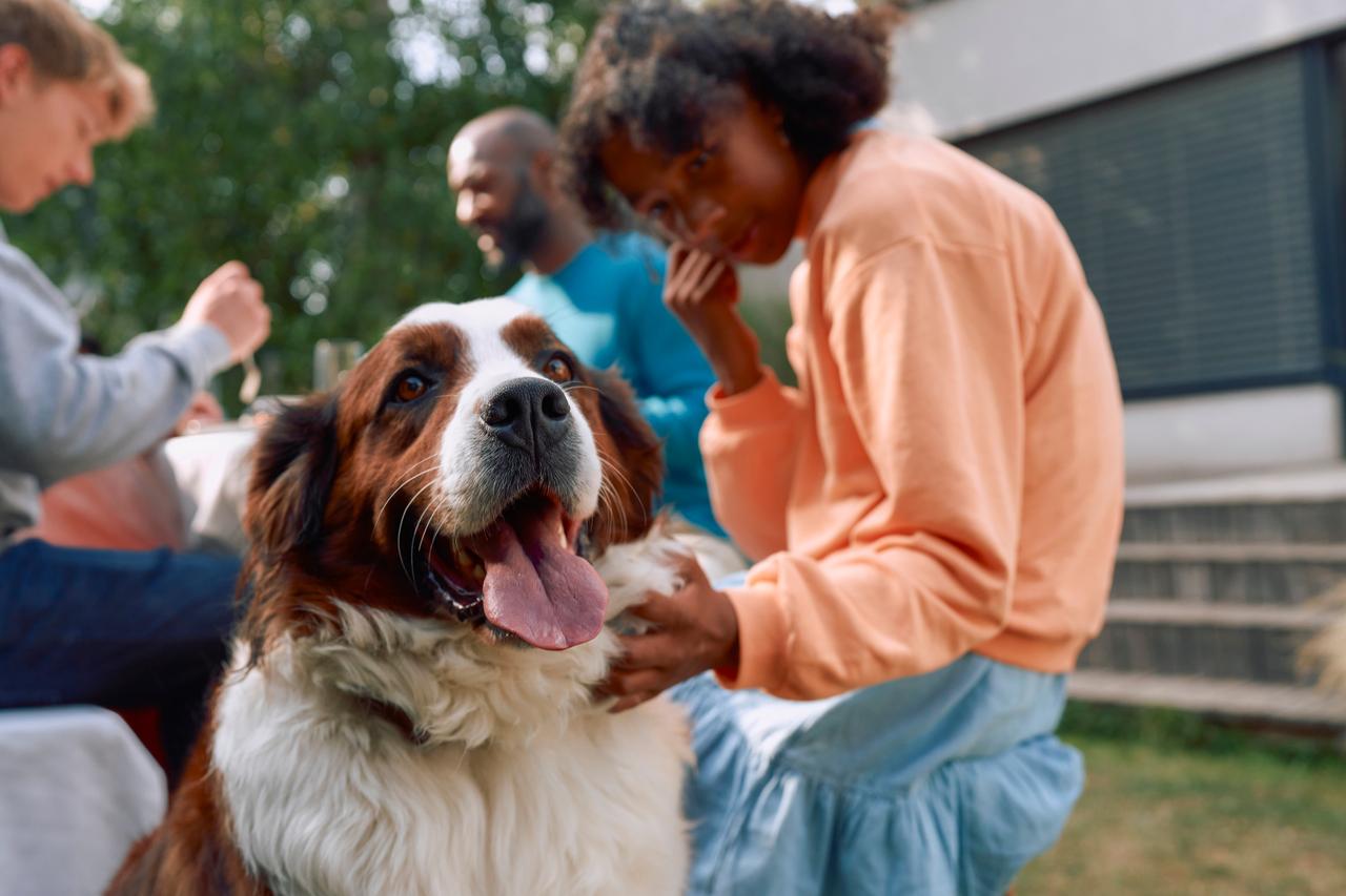 Boehringer Ingelheim Animal Health