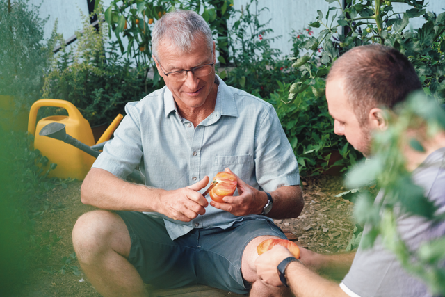 Duas pessoas sentadas em um jardim. A pessoa à esquerda está segurando e cortando um tomate, enquanto a pessoa à direita segura outro tomate. Ambas estão cercadas por vegetação verdejante.