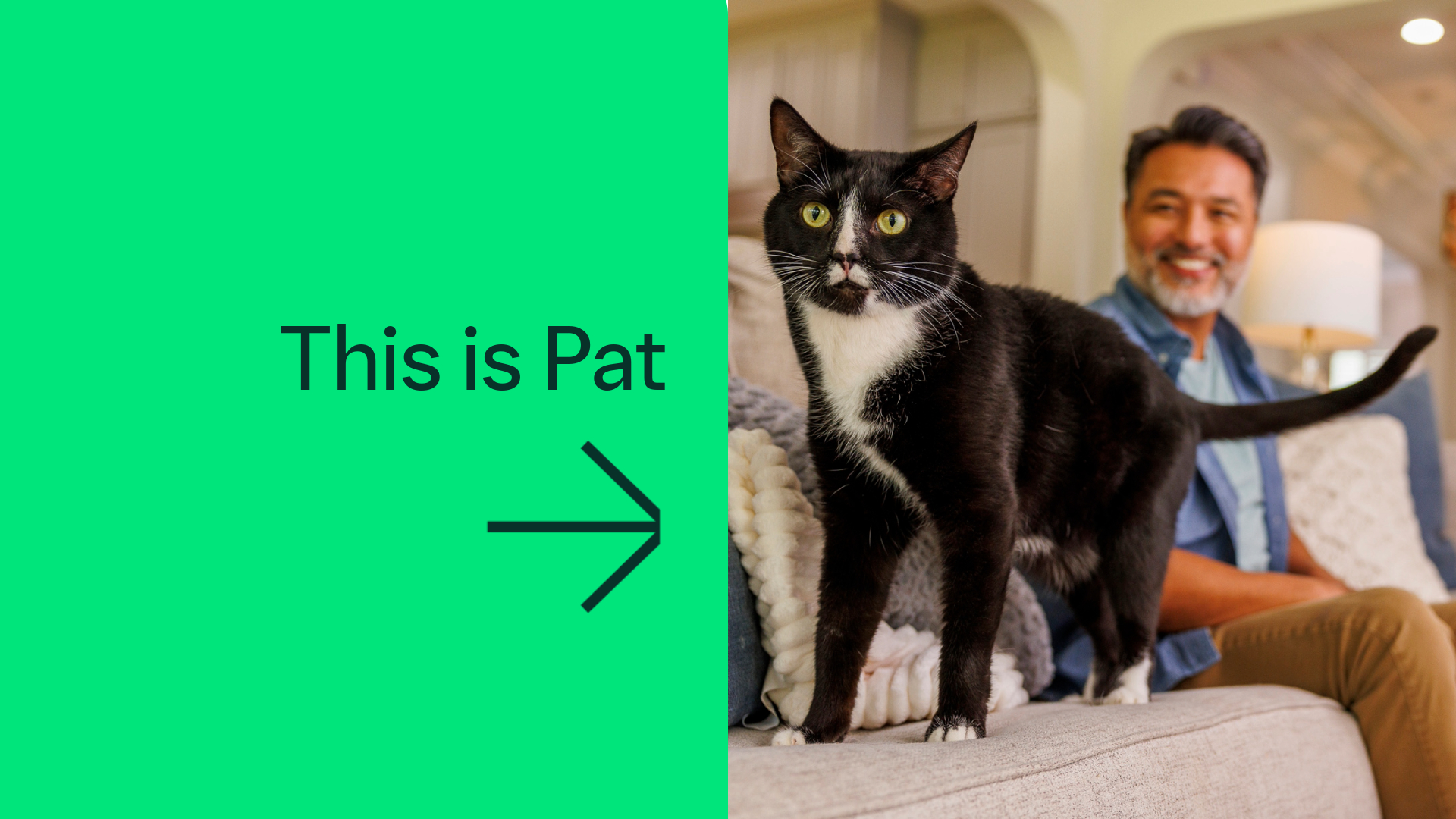 The image shows a tuxedo cat. The text reads: "This is Pat."