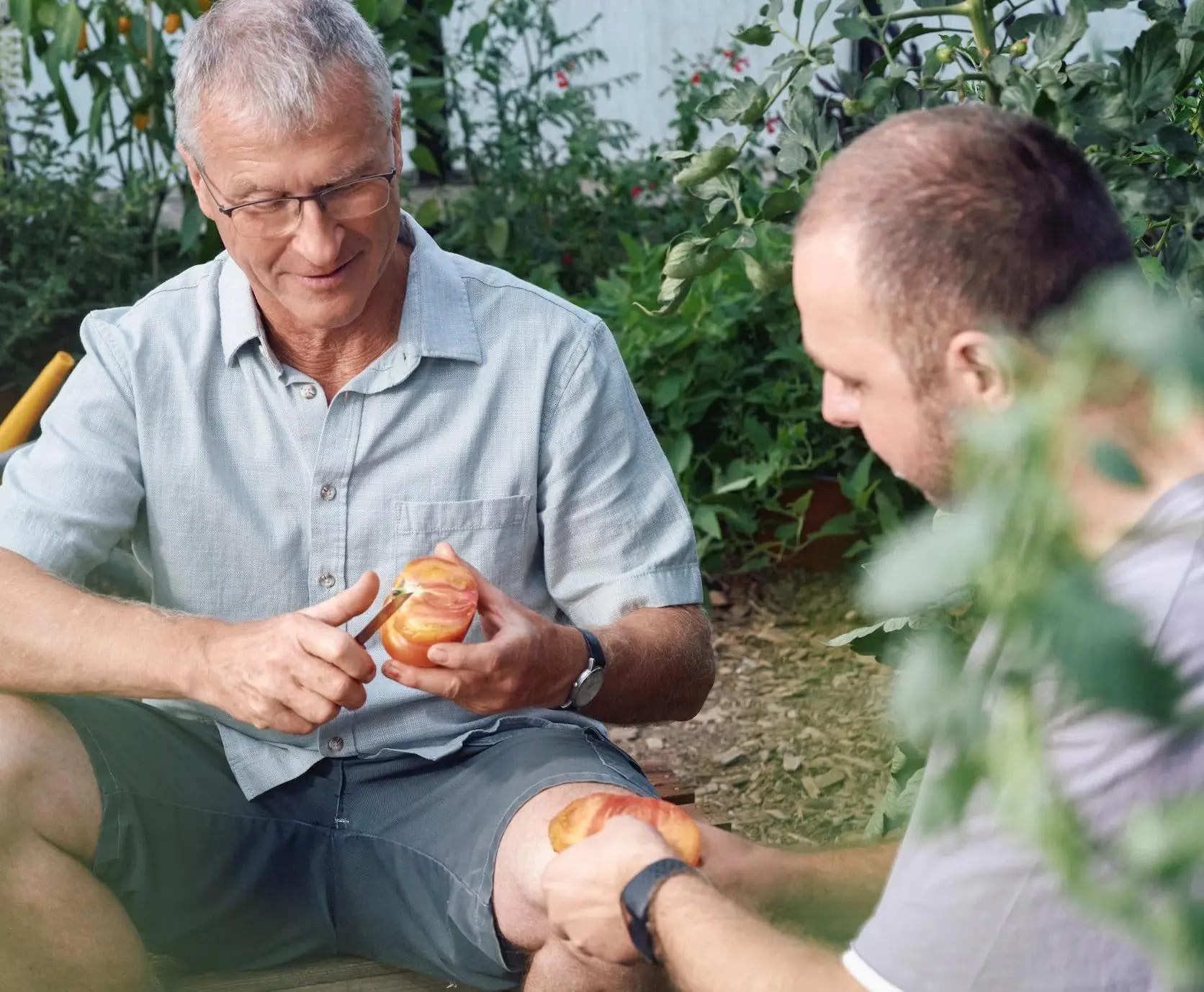 Father and adult son prepare food on the farm