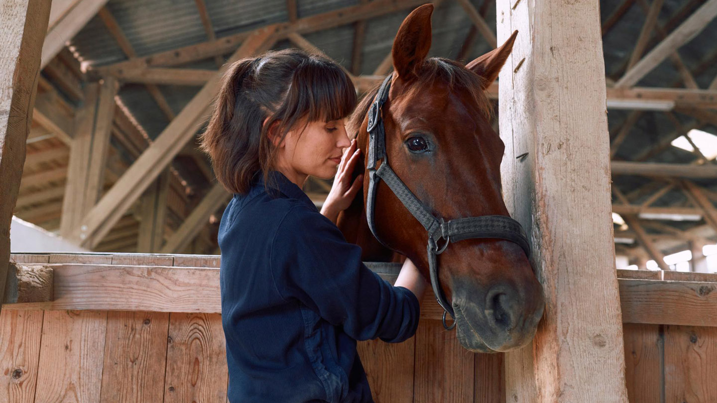 Woman with horse in stable