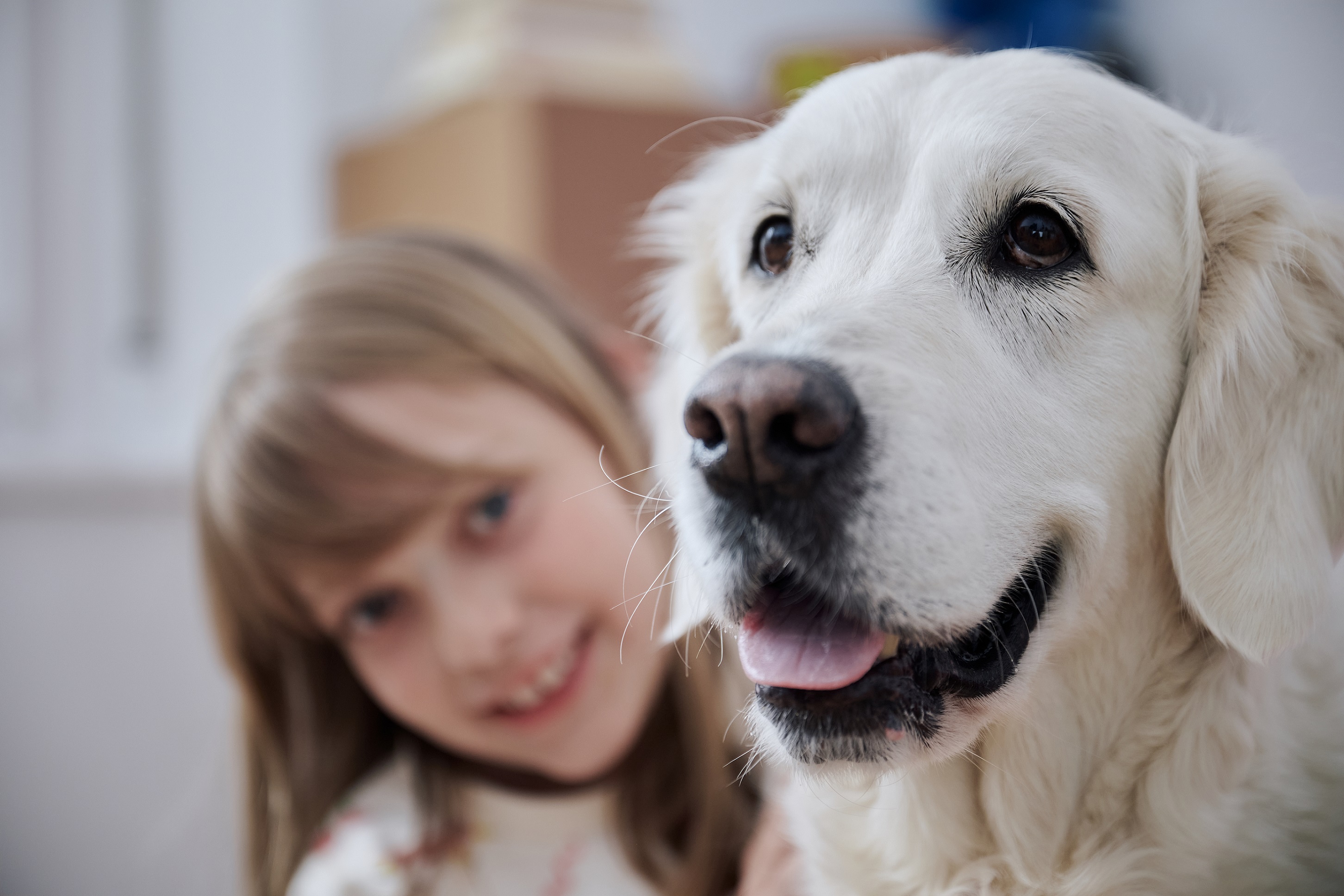 Boehringer Ingelheim child with dog