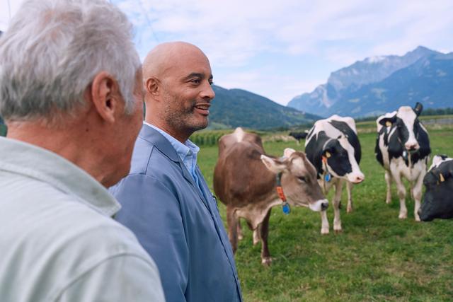 Eleveurs et vaches