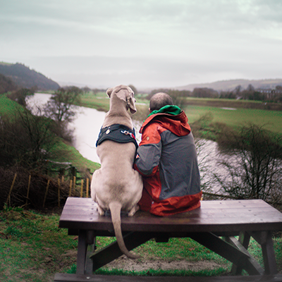 A Unique Bond: friends in need