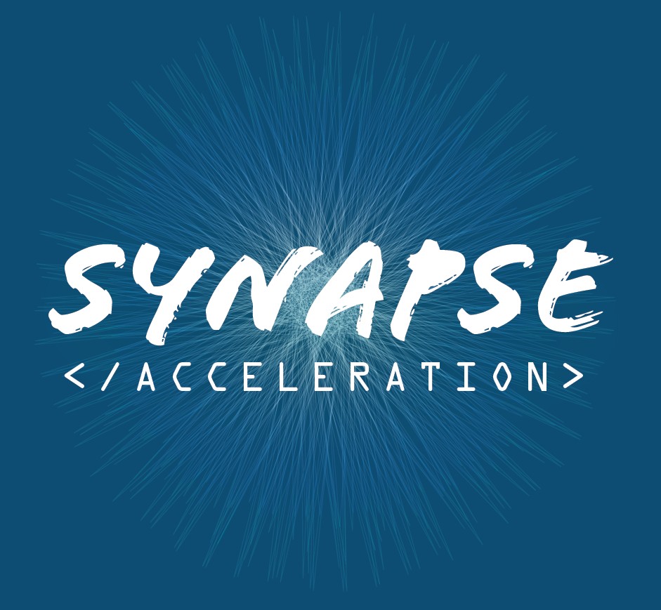 synapse