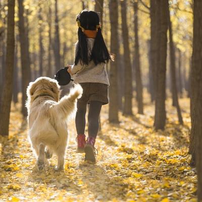 maedchen_mit_hund_in_herbstwald