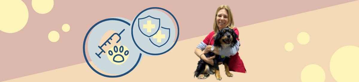 Headerbild mti Dr. Silvina Muñiz, Hund und zwei Icons