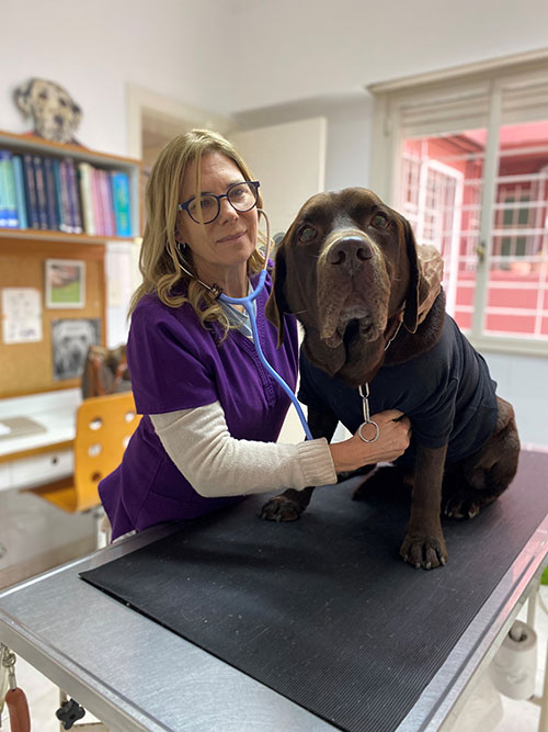 Dra. Silvina Muñiz en consultorio con un perro