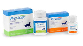 Previcox - Argentina - Productos Salud Animal