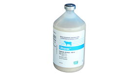 Ultravac<sup>®</sup> - Productos Salud Animal - Uruguay - Rumiantes