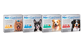 NexGard - Productos Salud Animal - Colombia