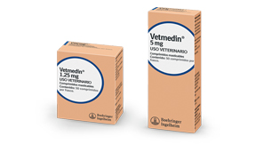 Vetmedin<sup>®</sup> - Colombia - Productos Salud Animal