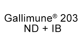 Gallimune<sup>®</sup> 203 ND + IB - Colombia - Productos Salud Animal
