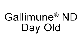 Gallimune<sup>®</sup> ND Day Old - Colombia - Productos Salud Animal