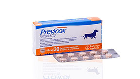 Previcox<sup>®</sup> - Productos Salud Animal - Ecuador