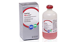 Ingelvac Mycoflex - Productos de Salud Animal - Perú