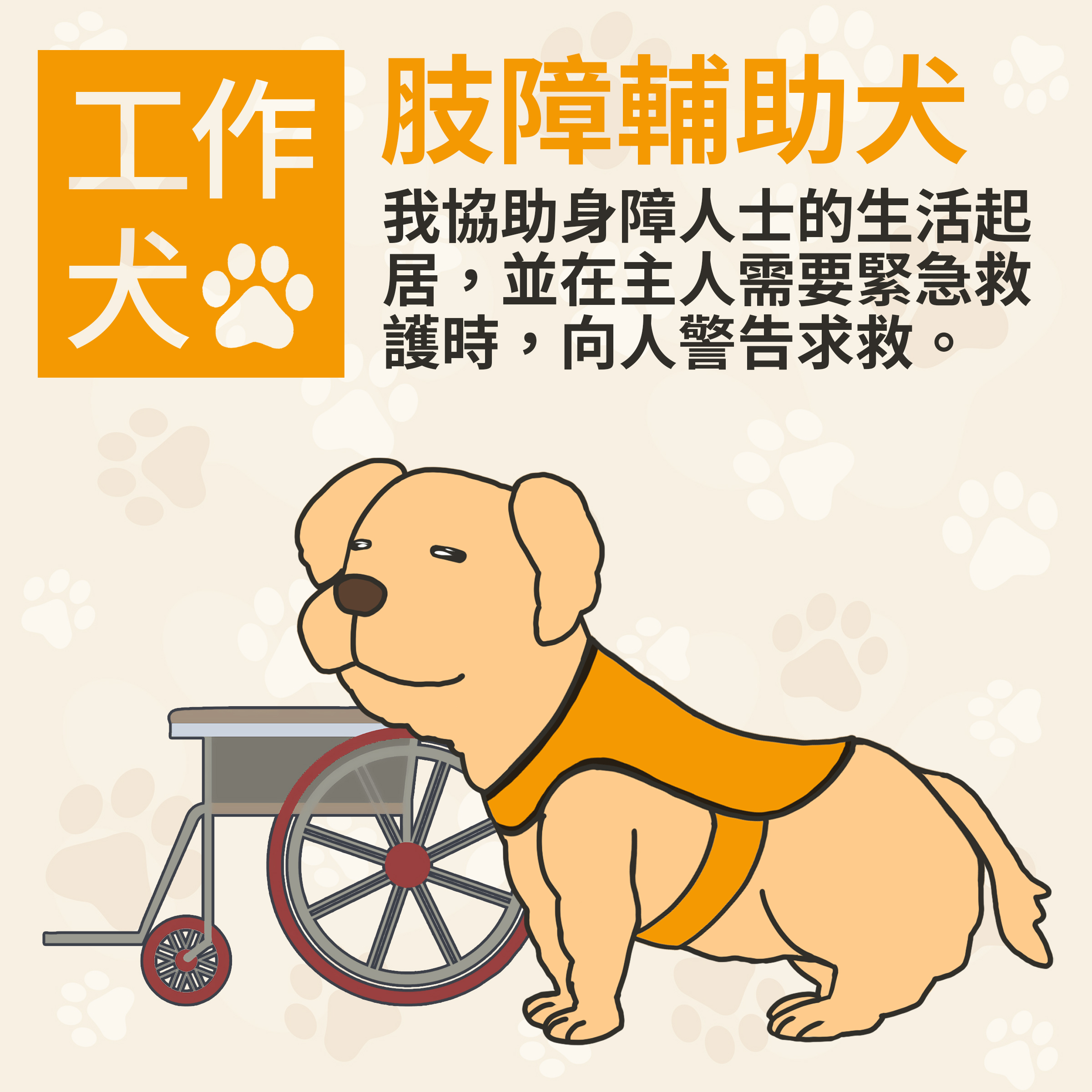 頑固輔助犬