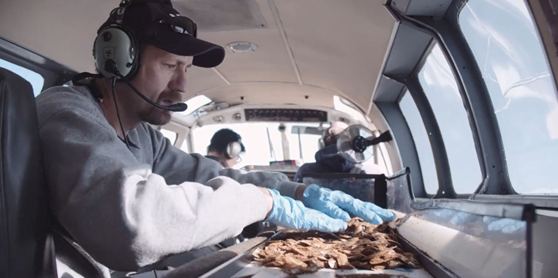 Vampire Bats & Rabies: A Potential New Threat | Boehringer Ingelheim US