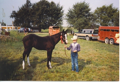 child in field standing with a horse