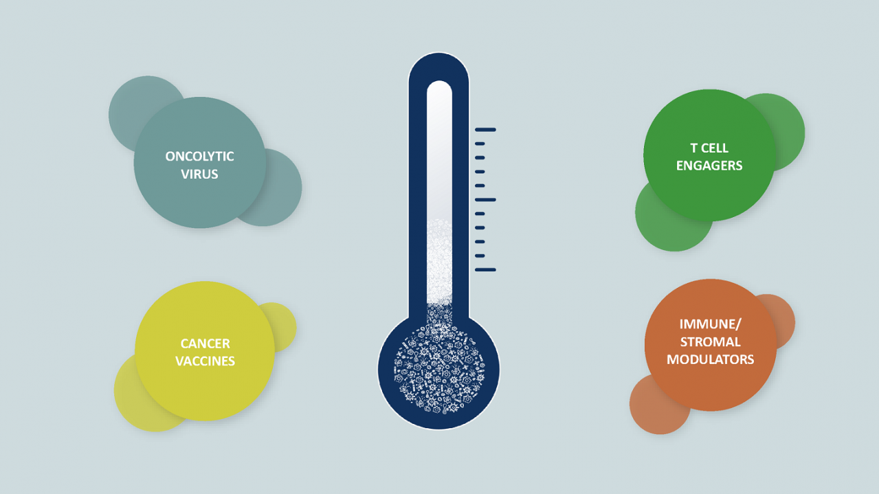 four pillars of cancer research