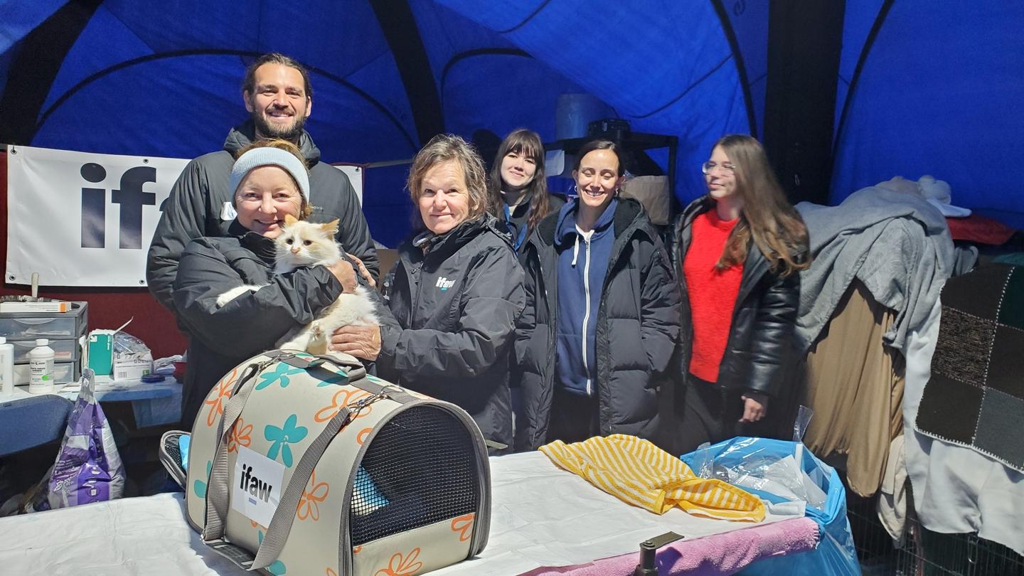 five volunteers with a cat