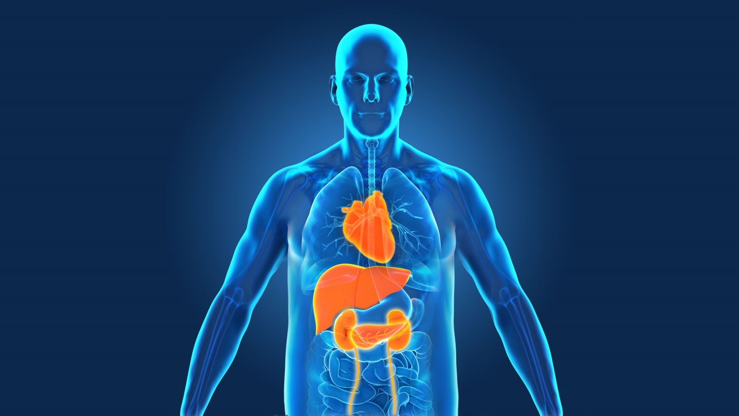 metabolic diseases graphic