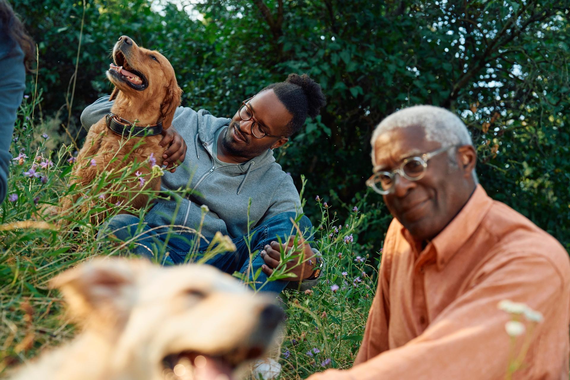 Life forward. Two people with a dog sitting in the meadow relaxing while one of them is padding the dog.  